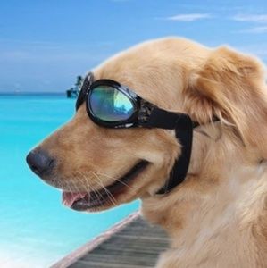 Pet Dog Goggles Sun Glasses